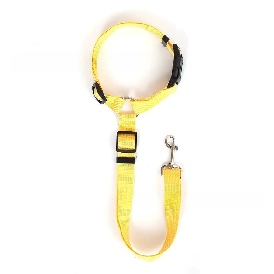 SafeRide DuoLeash – 2-in-1 Car Seat Belt & Walking Leash for Dogs on the Move