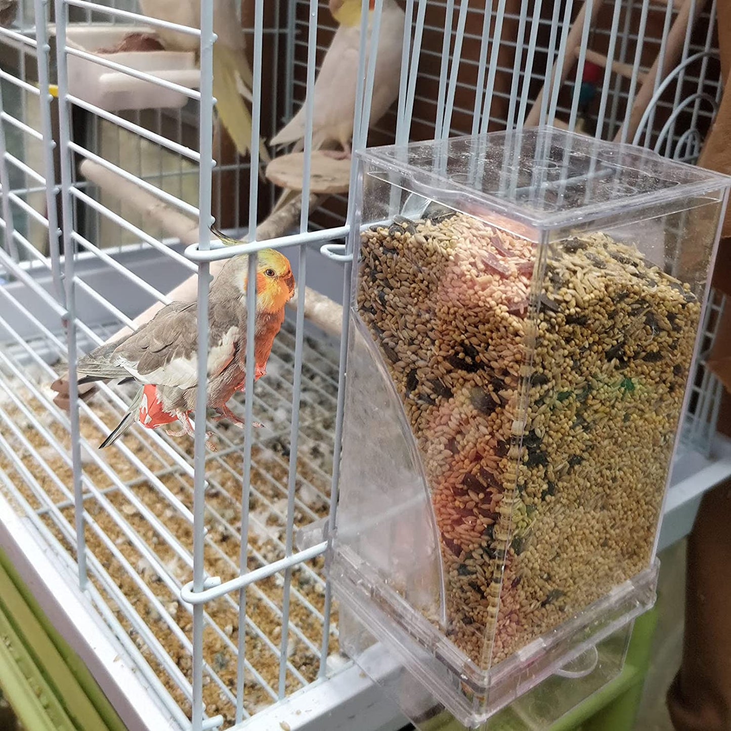 No Mess Bird Cage Feeder Automatic Parrot Seed Feeders with Perch Acrylic Transparent Seed Food Container Cage Accessories for Small and Medium Parakeets Lovebirds